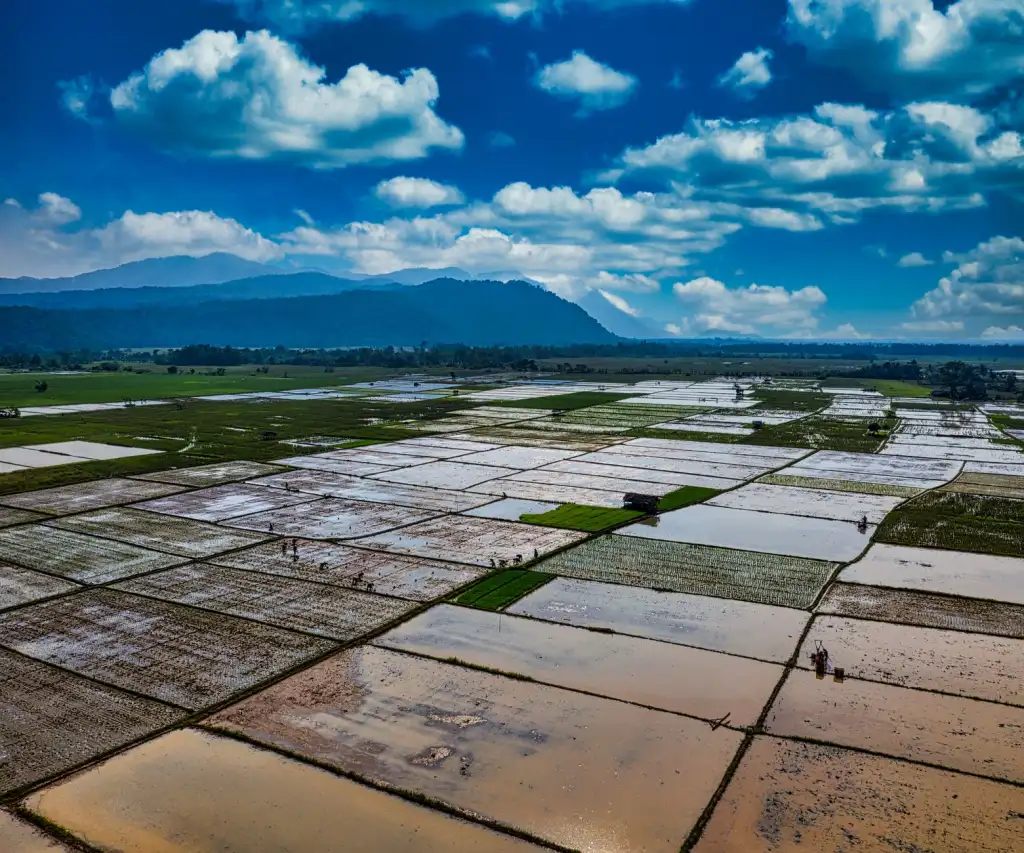 建筑模板混凝土成型质量控制要点与施工规范