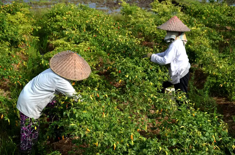 盐城地区建筑模板与木方在混凝土成型中的质量管控要点